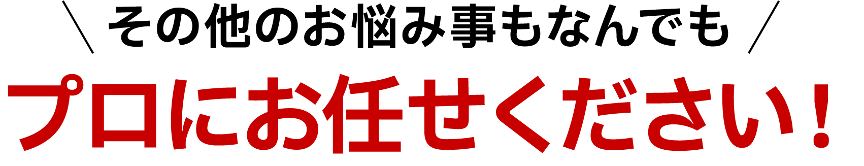 その他のお悩み事もなんでもプロにお任せください!